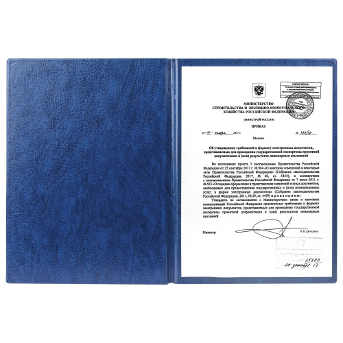 Папка адресная ДПС "На подпись", А4, увеличенная вместимость до 100 л., синяя фото 5