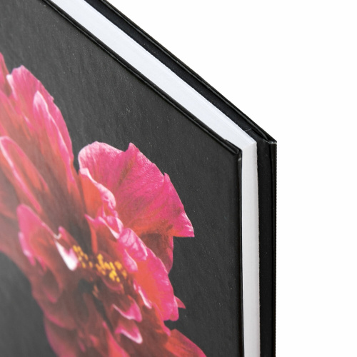 Блокнот STAFF, "Красный цветок на черном", А6, 110х147 мм, 80 л., твердый переплет, ламинир. обложка фото 4