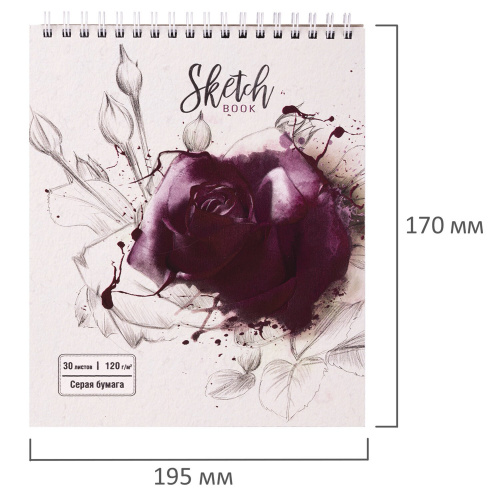 Скетчбук ПЗБМ "Роза", серая бумага 120 г/м2, 170х195 мм, 30 л., гребень, цветная фольга фото 7