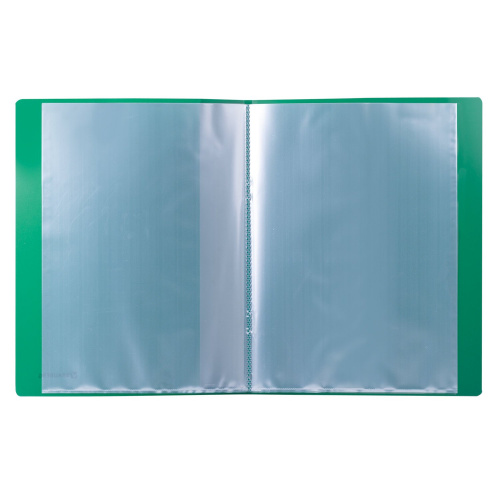 Папка BRAUBERG, 10 вкладышей,  0,5 мм, стандарт, зеленая фото 3