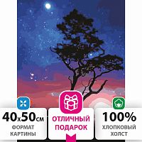 Картина по номерам ОСТРОВ СОКРОВИЩ "Звездная ночь", 40х50 см, 3 кисти, акриловые краски