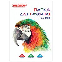 Папка для рисования ПИФАГОР "Попугай", А4, 40 л., 120 г/м2, 210х297 мм