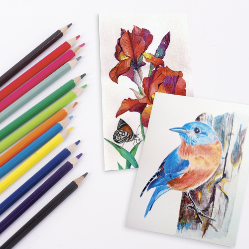 Карандаши цветные акварельные BRAUBERG "Корсары", 12 цветов, заточенные, картонная упаковка фото 2