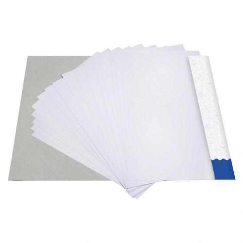 Картон белый А4 МЕЛОВАННЫЙ EXTRA (белый оборот), 16 листов, в папке, BRAUBERG, 200х290 мм фото 2