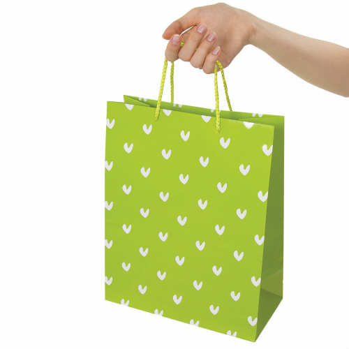 Пакет подарочный ЗОЛОТАЯ СКАЗКА "Зеленый в галочку", 26x12,7x32,4 см, ламинированный фото 5