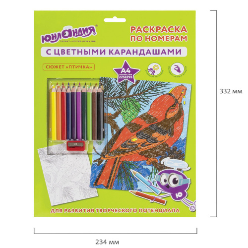 Раскраска по номерам ЮНЛАНДИЯ "ПТИЧКА", А4, с цветными карандашами, на картоне фото 3