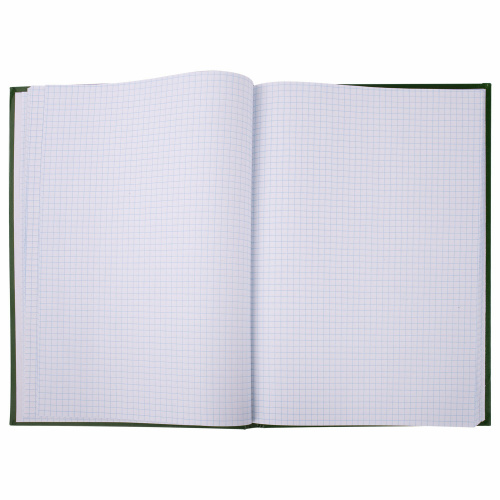 Книга учета 96 л., клетка, твердая, бумвинил, офсет, герб, А4 (200х290 мм), BRAUBERG, зеленая фото 3
