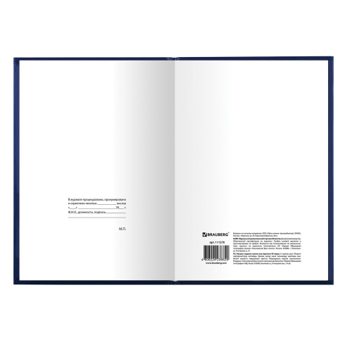 Журнал учета для розничной торговли BRAUBERG, А4, 96 л., бумвинил, блок офсет, 200x290 мм фото 4
