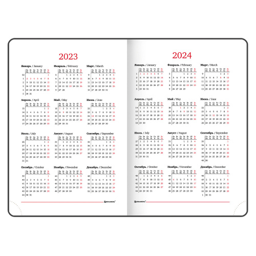 Ежедневник датированный 2023 BRAUBERG "Control", А5, 138x213 мм, под кожу, коричневый фото 10