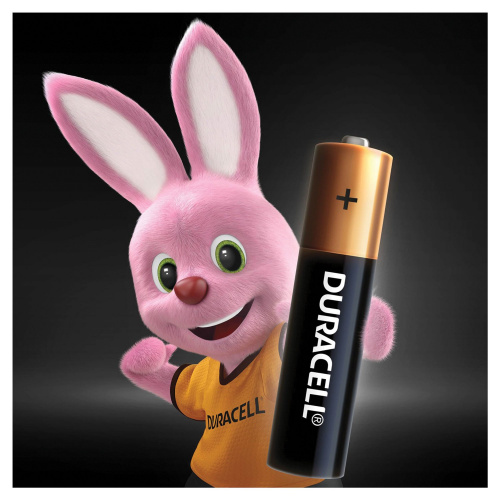 Батарейки DURACELL Basic, AAA, 4 шт., алкалиновые, мизинчиковые, блистер фото 4