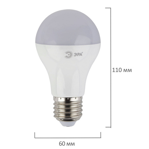 Лампа светодиодная ЭРА, 8 (60) Вт, цоколь E27, грушевидная, холодный белый свет, 25000 ч. фото 3
