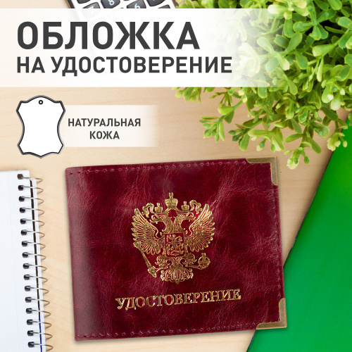 Обложка для удостоверения натуральная кожа пулап, герб + "УДОСТОВЕРЕНИЕ", бордовая, BRAUBERG фото 3