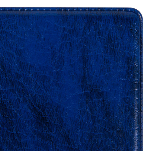 Альбом нумизматика ОСТРОВ СОКРОВИЩ, для 380 монет, диаметром до 38мм и купюр, 253*238мм, синий фото 6