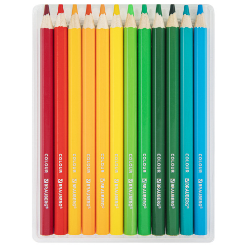 Карандаши цветные BRAUBERG KIDS 24 цвета, грифель 5 мм, утолщенные фото 7