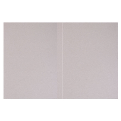 Папка без скоросшивателя BRAUBERG "Дело", картон мелованный, плотность 280 г/м2, до 200 л. фото 3